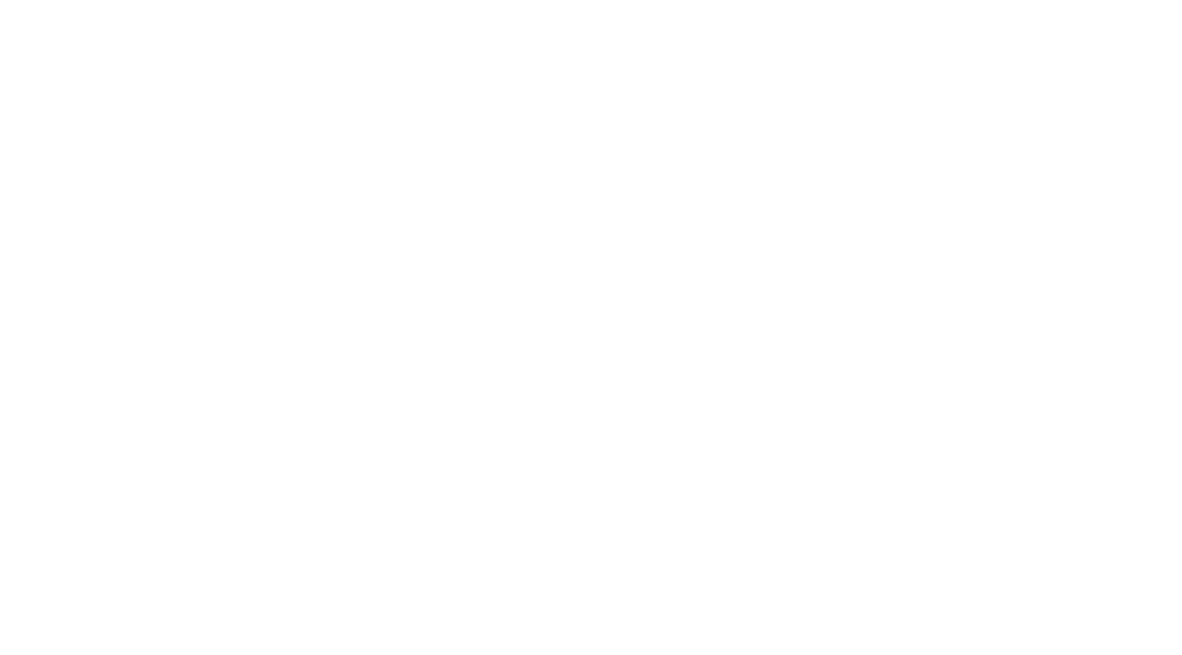 Logo der World Snowboard Foundation